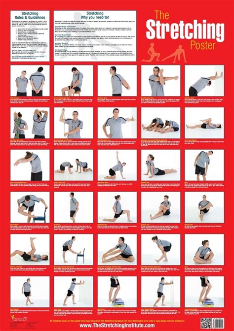 40 Charts of Post Workout Stretches to Prevent Injuries - Bored Art