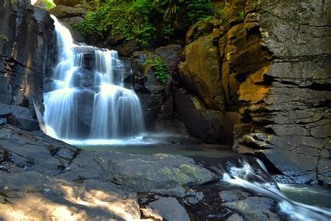 Purlingbrook Falls | Springbrook | Queensland, Australia | National ...