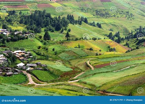 Terraced fields stock image. Image of aerial, daytime - 27671791