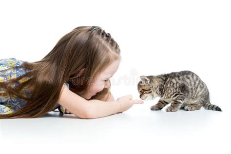 Happy Child Playing with Kitten Stock Image - Image of claw, baby: 36777869