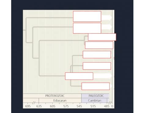 Cambrian Explosion Quiz