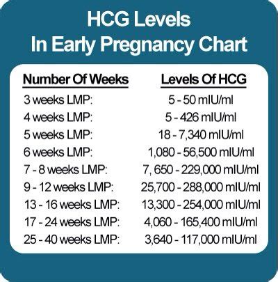 HCG Levels | BabyCenter