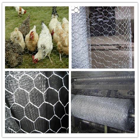 1/4" 3/4" Chicken Wire Mesh /Rabbit Wire Mesh - China Chicken Wire Mesh and Hex. Wire Mesh