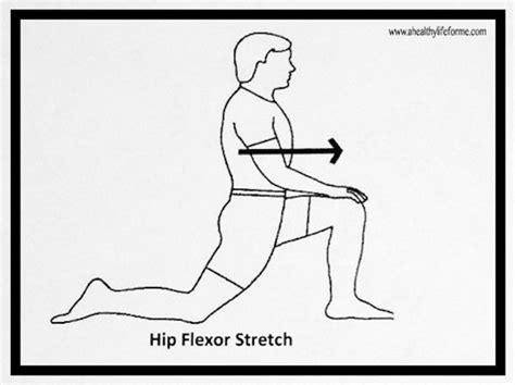 Hip Muscles Diagram - The Hip Joint - Complete Physiotherapy : The hip muscles work in ...