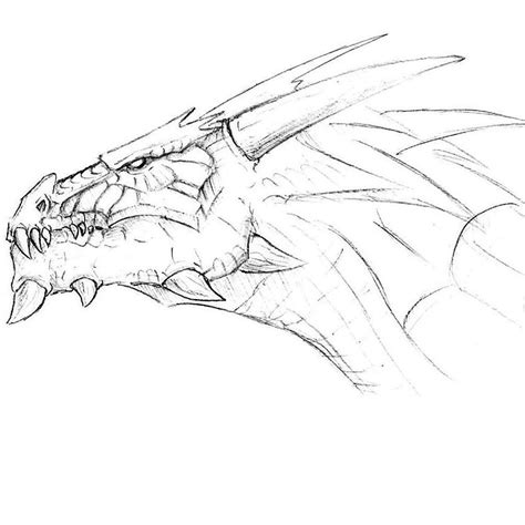 How to Draw a Dragon Head | DrawingForAll.net