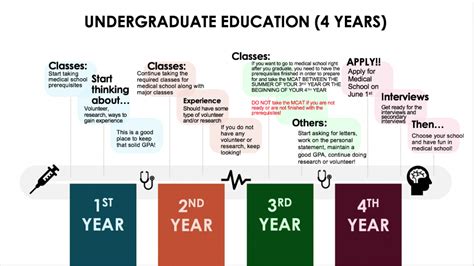 Pre-Med Timeline | Cal State LA