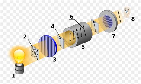 Download Figure \ - Polarimeter Optical Rotation Clipart (#1091043) - PinClipart