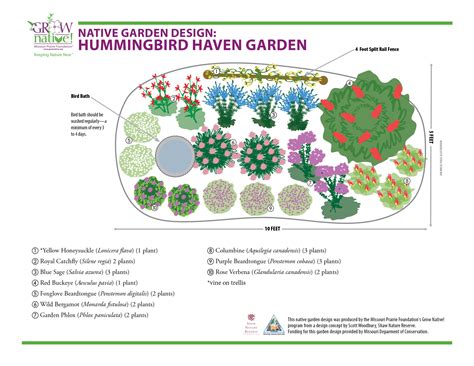 Hummingbird Garden Design