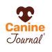 Australian Shepherd Blue Heeler Mix: Breed Information & More | Canine ...