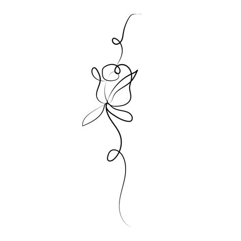 Rose Line Art Vector, Rose Drawing, Rose Sketch, Rose Liner PNG and ...