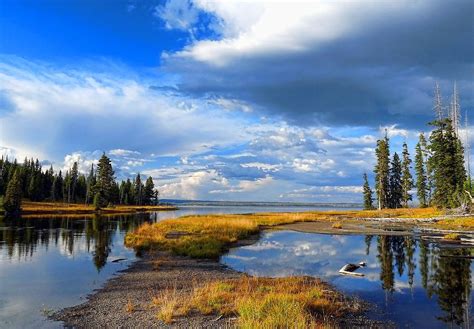 Lewis Lake Yellowstone Photograph by Denny Heath