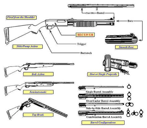 3 Types of Guns: Pistol vs Rifle vs Shotgun - Pew Pew Tactical