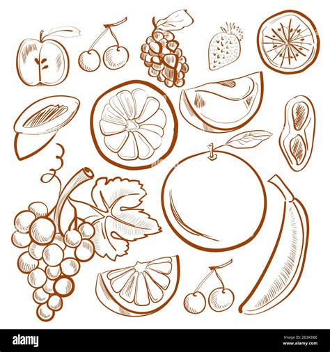 Illustration of doodle set with fruits Stock Photo - Alamy