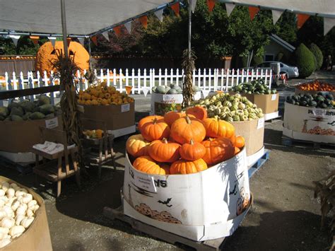 Spooner Farms Harvest Festival and Pumpkin Patch