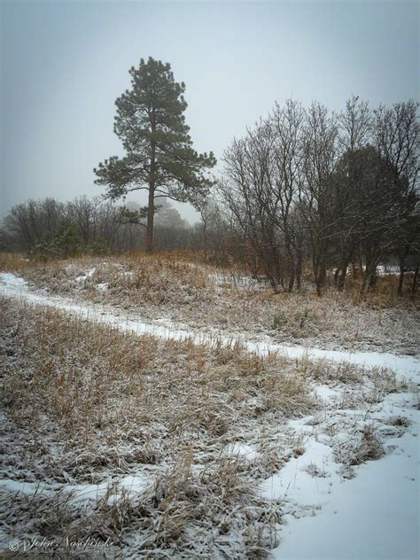 Castle Rock Colorado Winter Photo 86 - Scenic Colorado Pictures | Colorado Photos & Prints for Sale