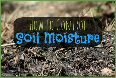 Soil Moisture: How to Deal with Too Much and Not Enough