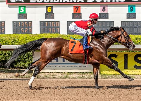 Horse racing: Field set for Super Derby 41 Saturday at Louisiana Downs - Minden Press-Herald