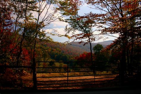 Autumn Colors Hillside Country Gate | Forest Foliage Autumn Fall Nature Pictures
