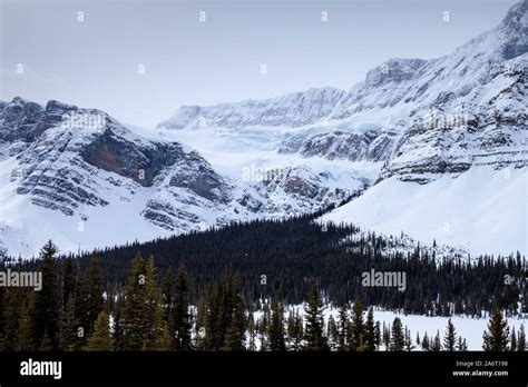 The crowfoot glacier in winter along the Icefields Parkway in Banff ...