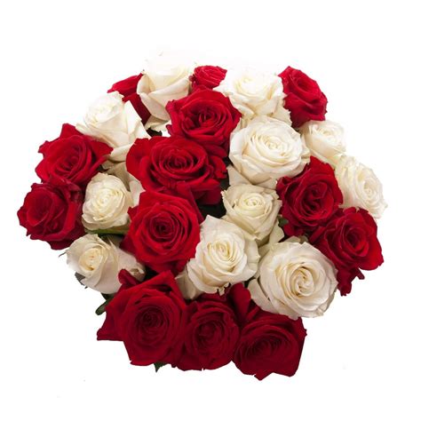 Red and White Roses Bouquet | Flower Muse