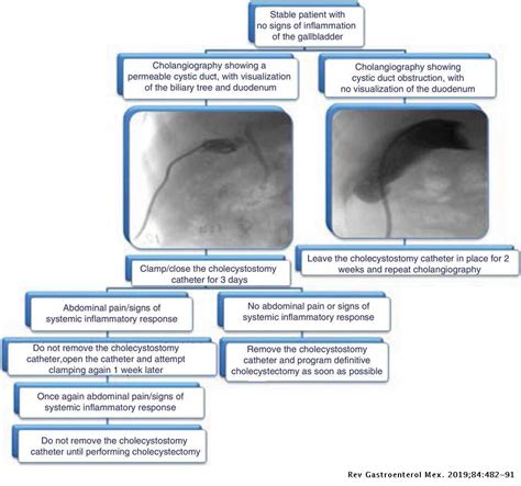 Cholecystostomy Drain Care - Best Drain Photos Primagem.Org