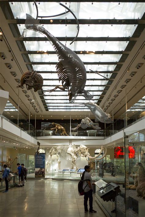 Natural History Museum admission prices go up 25-40% next year – Daily News