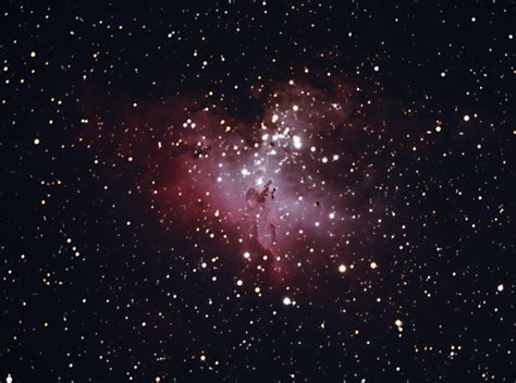 Eagle Nebula + Pillars of Creation : r/astrophotography