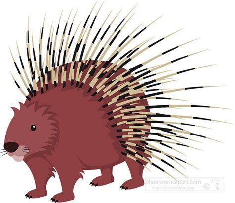 Porcupine Clipart-porcupine animal clipart