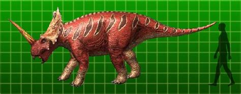 Centrosaurus - Dinosaur King