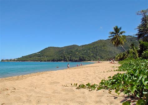 Guadeloupe | Une des plus belles plages de la Basse-Terre (G… | Flickr