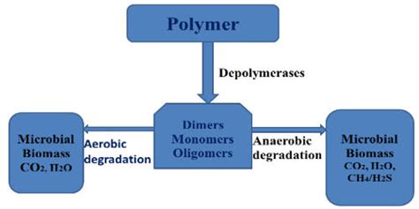 Polymer Degradation - Assignment Point