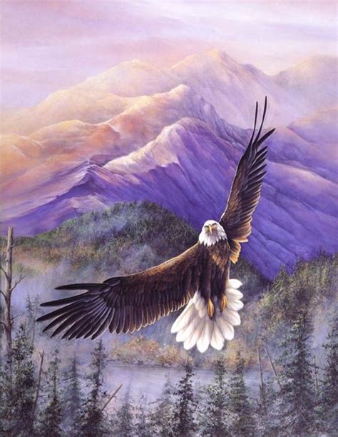 793 best images about Majestic Bald Eagles on Pinterest | Freedom, Bald ...