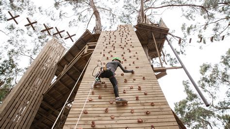 Live Wire Park | Attractions in Lorne, Melbourne