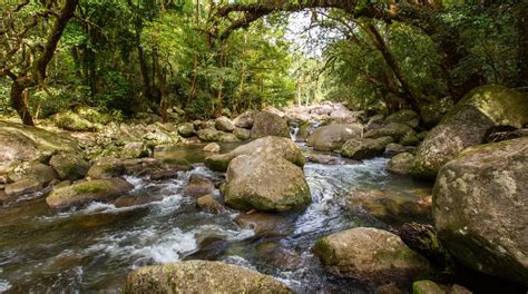 Visit Mossman Gorge: 2024 Travel Guide for Mossman Gorge, Queensland | Expedia