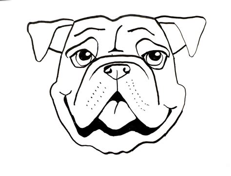 Animal Faces Drawing at GetDrawings | Free download