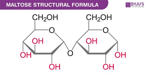 Biomolecules - Important Notes for NEET Biology (2023)