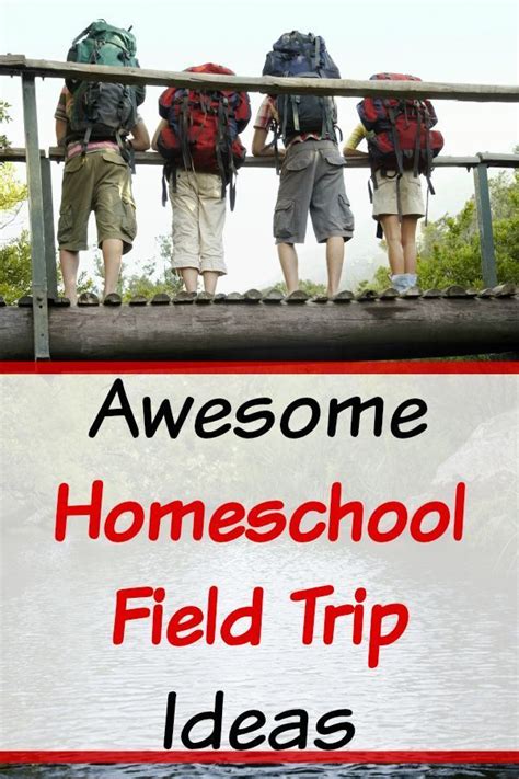 Awesome Homeschool Field Trip Ideas | Homeschool field trips, Field ...