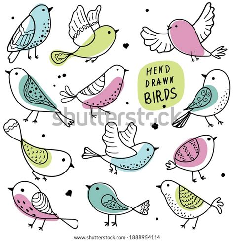 Birds Collection Colorful Handdrawn Bird Doodle Stock Vector (Royalty ...