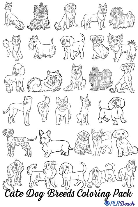 Cute Dog Breeds Coloring Pack with PLR Beach | PLR Planners - Build a Low Content Book ...