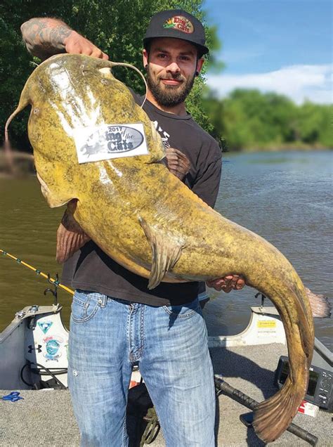 Angler Ties Own Record for Minnesota Flathead Catfish - Coastal Angler ...