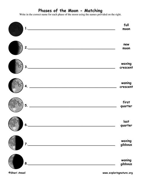 Moon Phases Worksheet