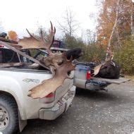 Maine Moose Hunting, Allagash Wilderness Camps, St. Francis, Maine