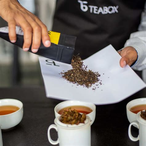 Teabox Review - Must Read This Before Buying