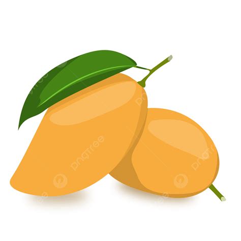 Mango Fruit, Mango, Fruit, Mangga PNG Transparent Clipart Image and PSD File for Free Download