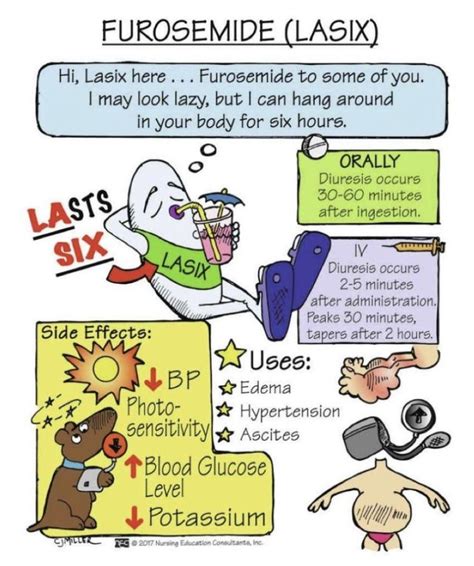 Loop Diuretics | Pharmacology nursing, Nursing pharmacology mnemonics, Nursing school