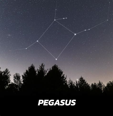 Pegasus Constellation | Pictures, Location and Origins