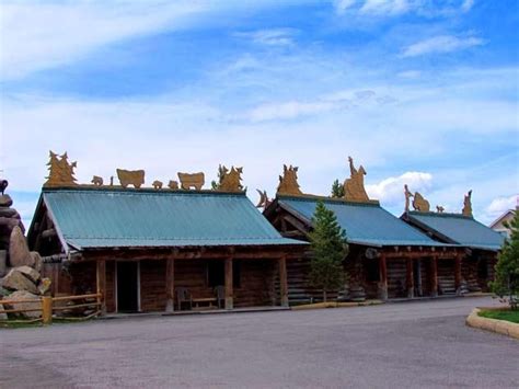 Hibernation Station, West Yellowstone, Mt | West yellowstone, West yellowstone montana, Cool ...