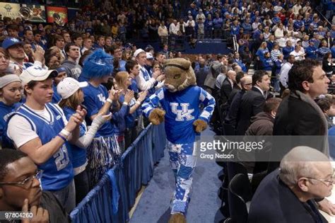 Kentucky Wildcats mascot before game vs Louisville. Lexington, KY News ...