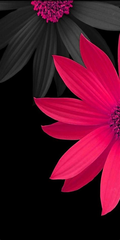 Pink and Black 3D Flowers Wallpaper | Pink flowers wallpaper, Beautiful ...