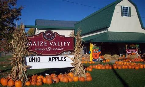 Maize Valley Market & Winery (Hartville) - 2021 All You Need to Know BEFORE You Go (with Photos ...